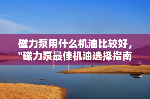 磁力泵用什么机油比较好，