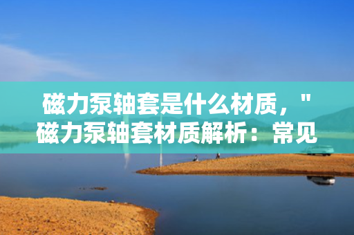 磁力泵轴套是什么材质，