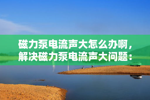 磁力泵电流声大怎么办啊，解决磁力泵电流声大问题：专业指导与实用技巧