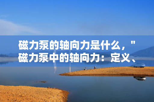 磁力泵的轴向力是什么，
