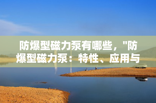 防爆型磁力泵有哪些，