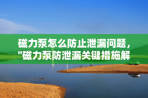 磁力泵怎么防止泄漏问题，