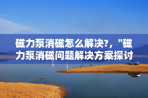 磁力泵消磁怎么解决?，