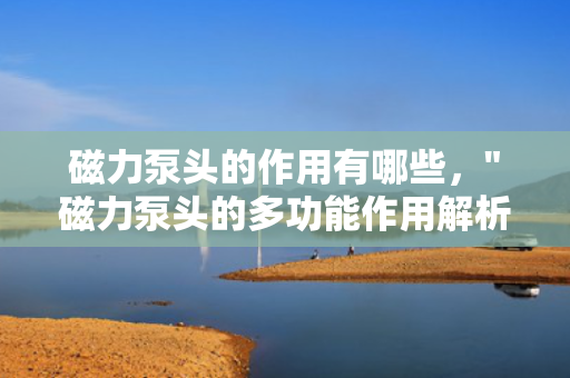 磁力泵头的作用有哪些，
