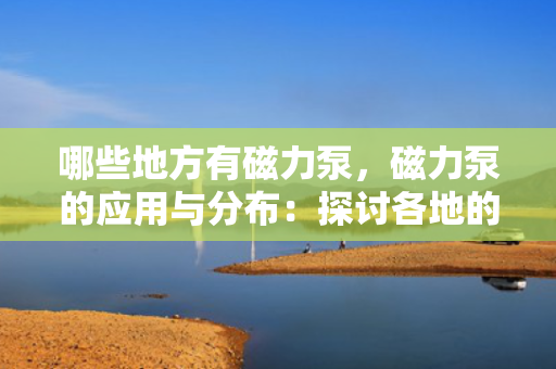 哪些地方有磁力泵，磁力泵的应用与分布：探讨各地的磁力泵使用现状