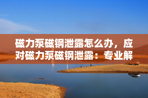 磁力泵磁钢泄露怎么办，应对磁力泵磁钢泄露：专业解决方案与操作指南