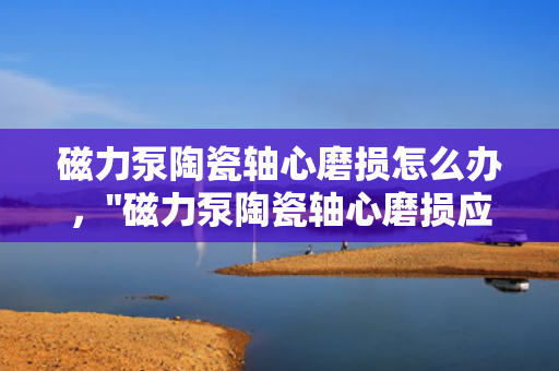 磁力泵陶瓷轴心磨损怎么办，
