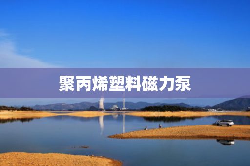 聚丙烯塑料磁力泵