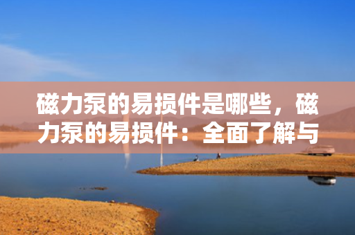 磁力泵的易损件是哪些，磁力泵的易损件：全面了解与维护指南