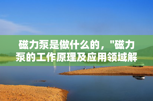 磁力泵是做什么的，