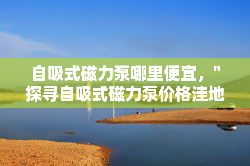 自吸式磁力泵哪里便宜，