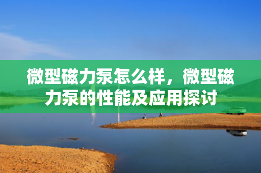 微型磁力泵怎么样，微型磁力泵的性能及应用探讨