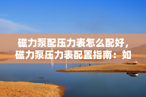 磁力泵配压力表怎么配好，磁力泵压力表配置指南：如何正确选择与安装