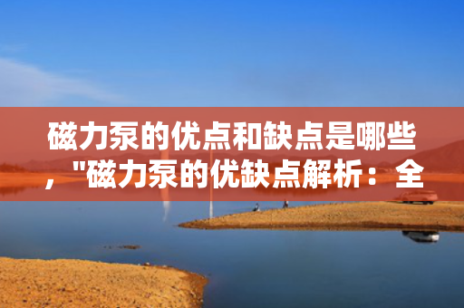磁力泵的优点和缺点是哪些，