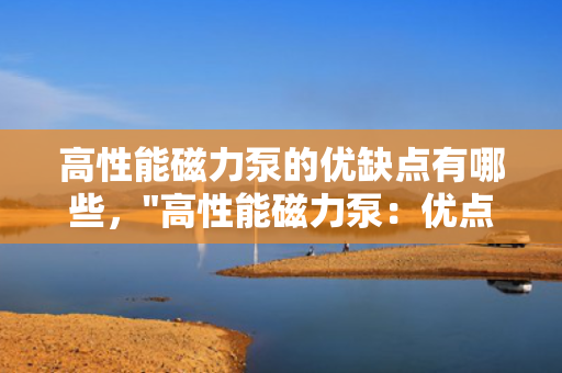 高性能磁力泵的优缺点有哪些，