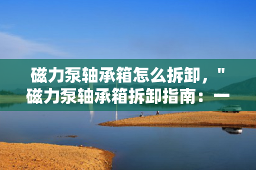 磁力泵轴承箱怎么拆卸，