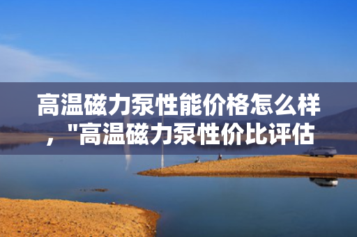 高温磁力泵性能价格怎么样，