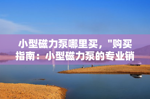 小型磁力泵哪里买，