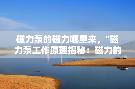 磁力泵的磁力哪里来，