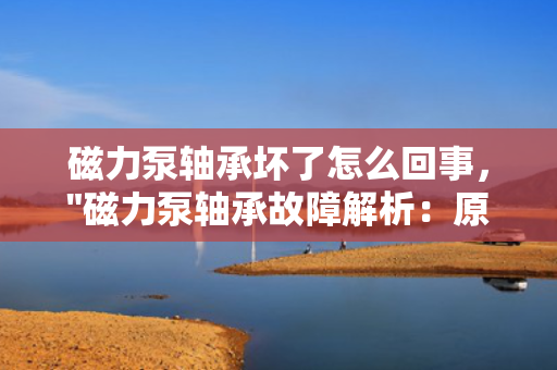 磁力泵轴承坏了怎么回事，