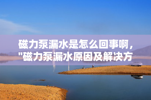 磁力泵漏水是怎么回事啊，