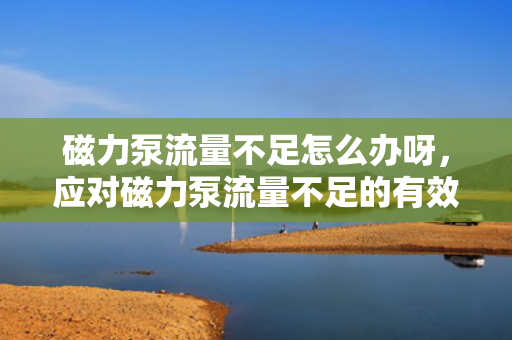 磁力泵流量不足怎么办呀，应对磁力泵流量不足的有效方法
