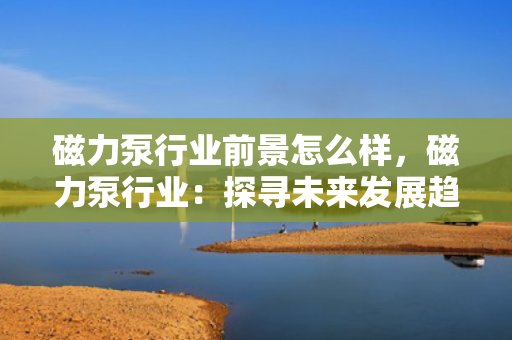 磁力泵行业前景怎么样，磁力泵行业：探寻未来发展趋势与前景