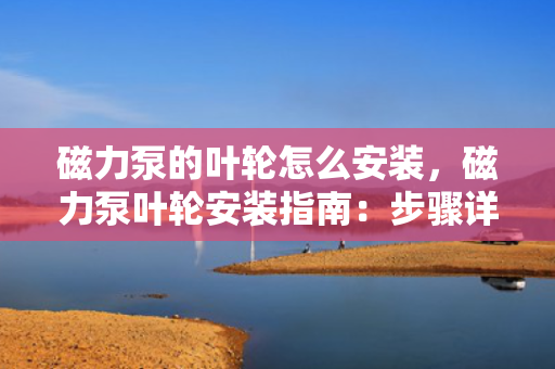 磁力泵的叶轮怎么安装，磁力泵叶轮安装指南：步骤详解与注意事项