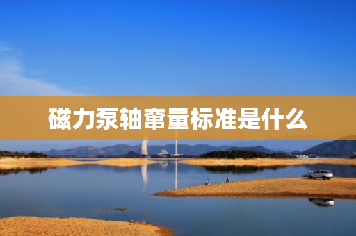 磁力泵轴窜量标准是什么
