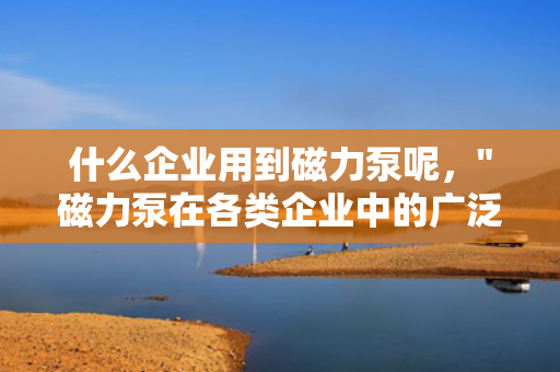 什么企业用到磁力泵呢，