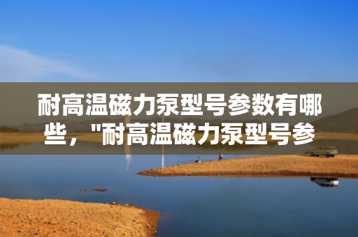 耐高温磁力泵型号参数有哪些，