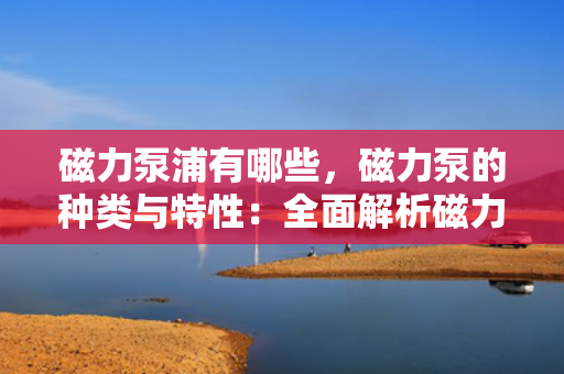 磁力泵浦有哪些，磁力泵的种类与特性：全面解析磁力驱动泵浦技术