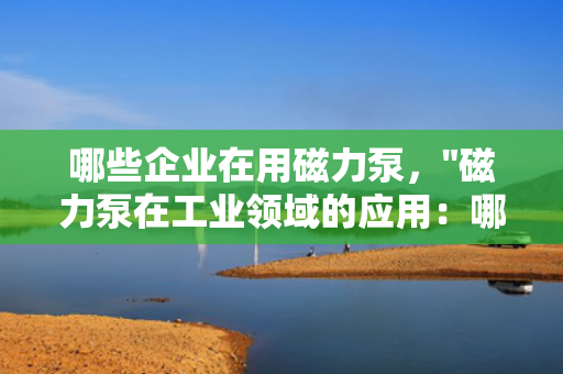 哪些企业在用磁力泵，