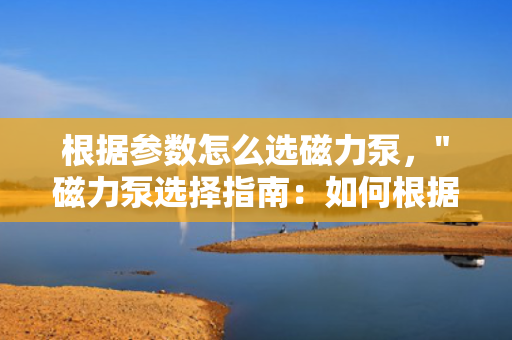 根据参数怎么选磁力泵，