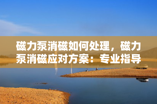 磁力泵消磁如何处理，磁力泵消磁应对方案：专业指导与实用技巧