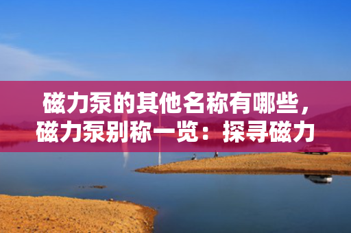 磁力泵的其他名称有哪些，磁力泵别称一览：探寻磁力泵的其他命名方式