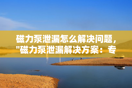 磁力泵泄漏怎么解决问题，