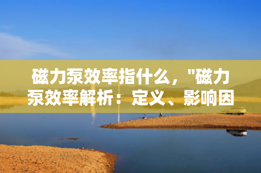 磁力泵效率指什么，