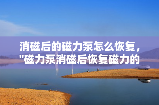 消磁后的磁力泵怎么恢复，