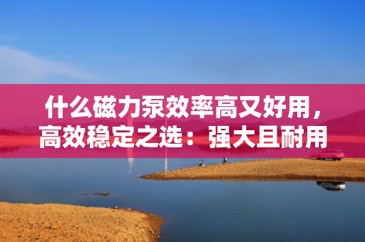 什么磁力泵效率高又好用，高效稳定之选：强大且耐用的磁力泵推荐