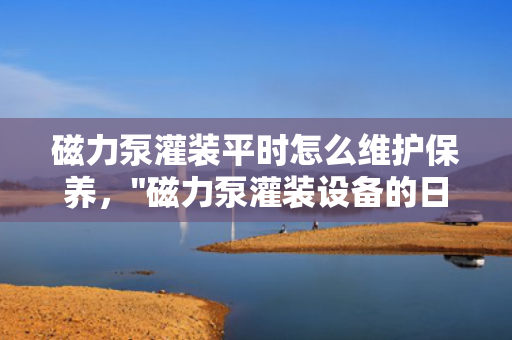 磁力泵灌装平时怎么维护保养，