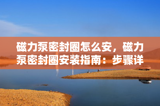 磁力泵密封圈怎么安，磁力泵密封圈安装指南：步骤详解与注意事项