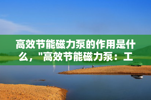 高效节能磁力泵的作用是什么，