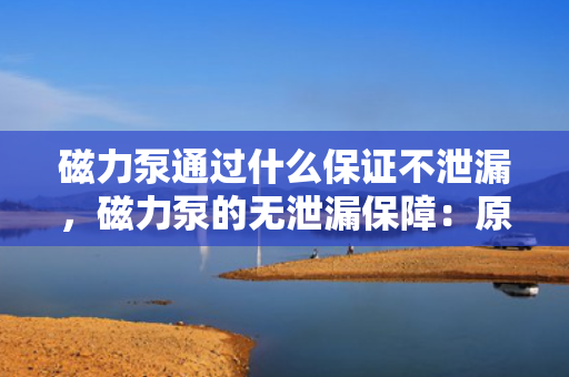 磁力泵通过什么保证不泄漏，磁力泵的无泄漏保障：原理、技术与应用