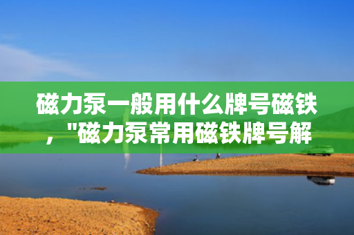 磁力泵一般用什么牌号磁铁，
