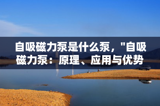 自吸磁力泵是什么泵，