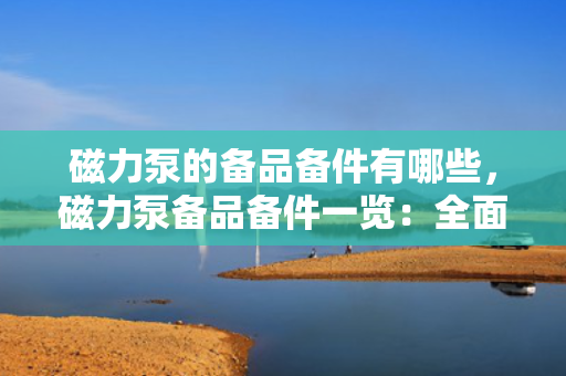 磁力泵的备品备件有哪些，磁力泵备品备件一览：全面解析关键组件及易损件