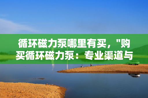 循环磁力泵哪里有买，