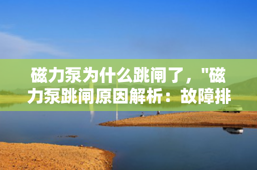 磁力泵为什么跳闸了，