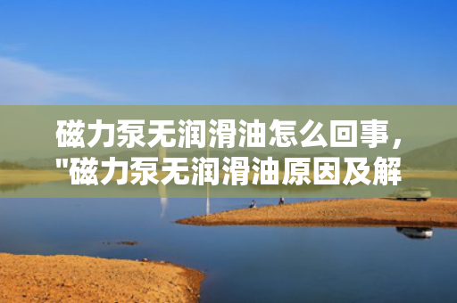 磁力泵无润滑油怎么回事，